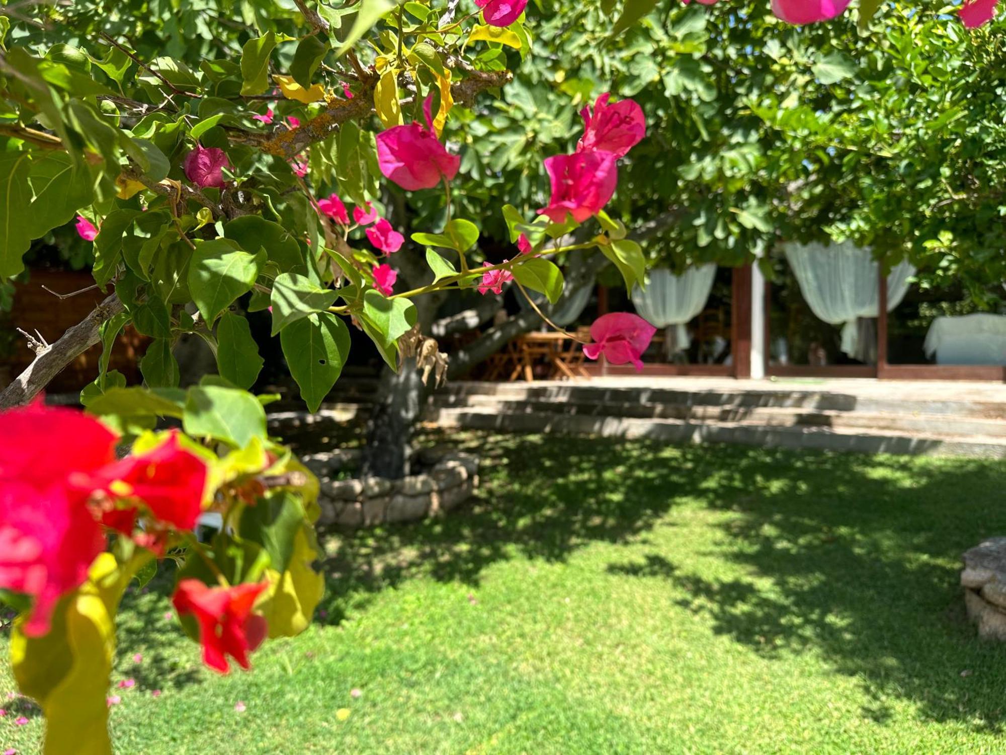 Villa Niloan Olbia Esterno foto