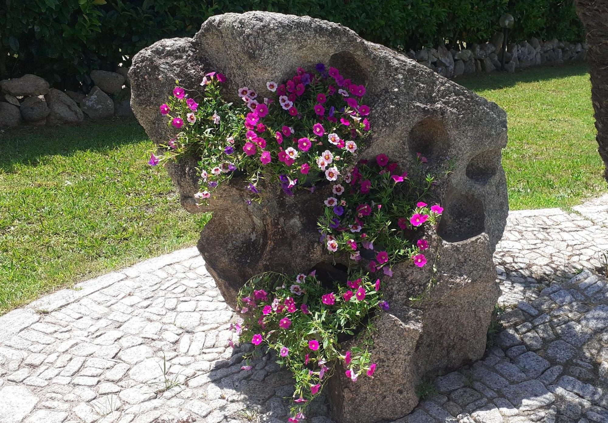 Villa Niloan Olbia Esterno foto