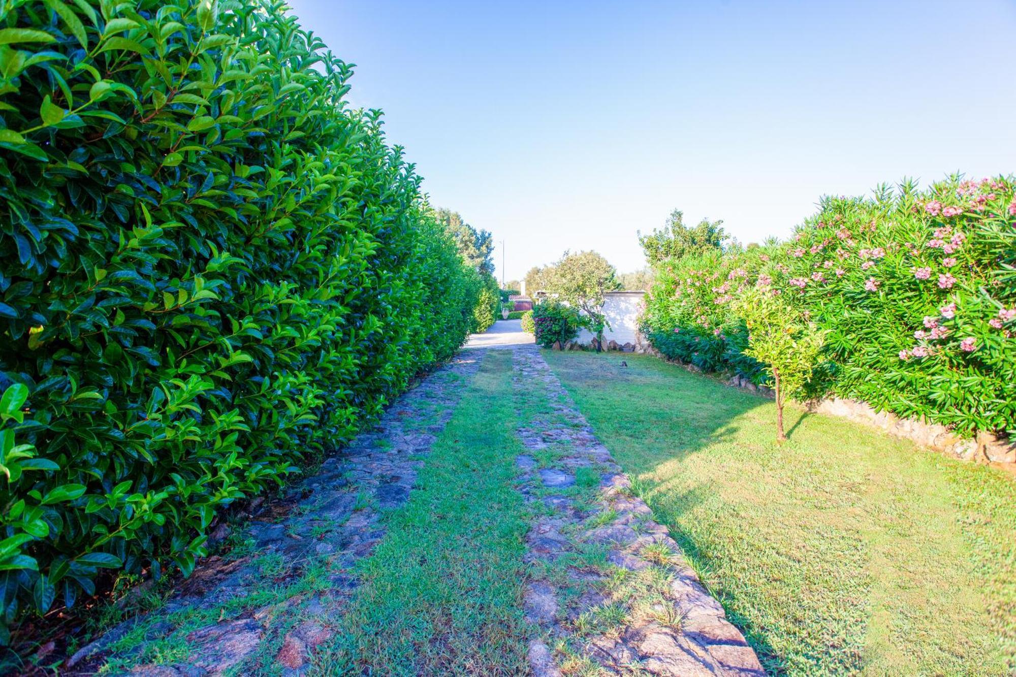 Villa Niloan Olbia Esterno foto